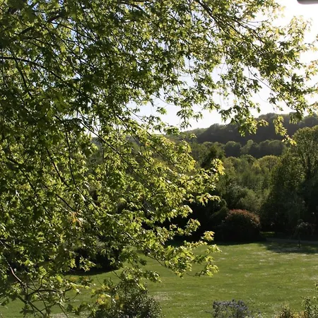 Beauchamps *
