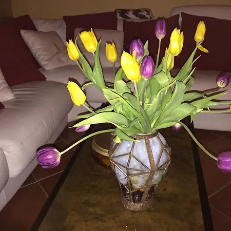 Beauchamps Vendégház Genneville